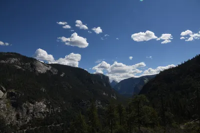 DSC_4302 (Large).JPG